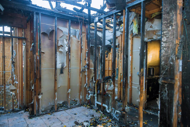 Professional Fire Damage Removal technician working in Tangerine, FL